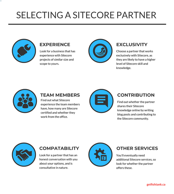 selecting a sitecore partner infographic