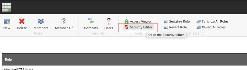 Security manager in Sitecore
