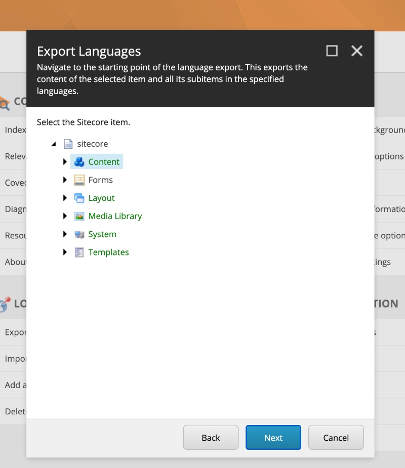 Screenshot of the prompt indicating which language you want to Export