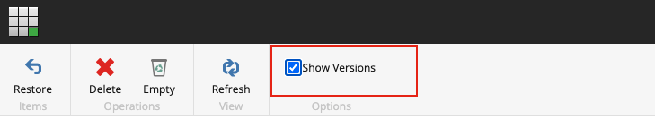 Show Versions tickbox in the content editor of Sitecore.