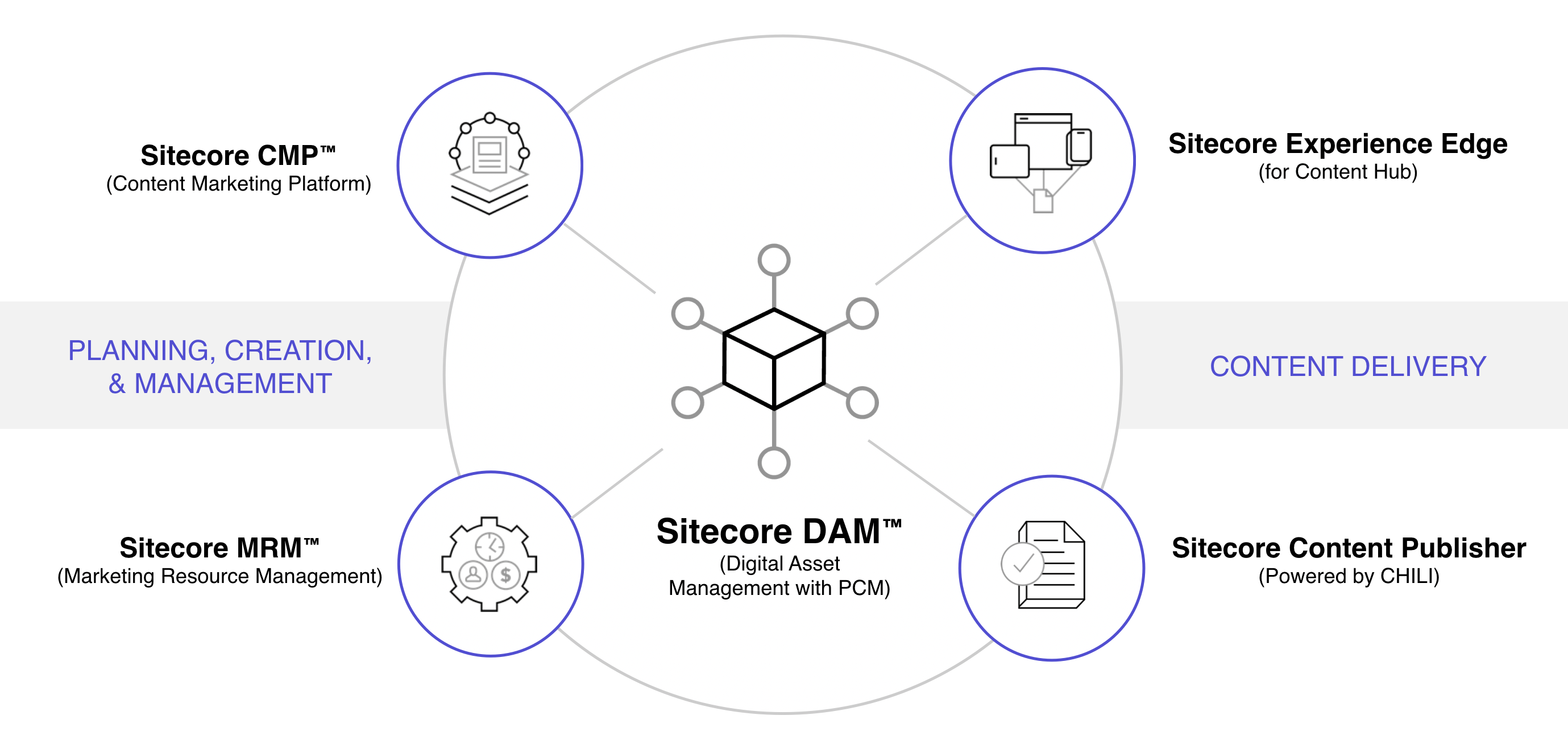 Components of Sitecore Content Hub DAM include CMP, MRM, Experience Edge, and Content Publisher (CHILI).
