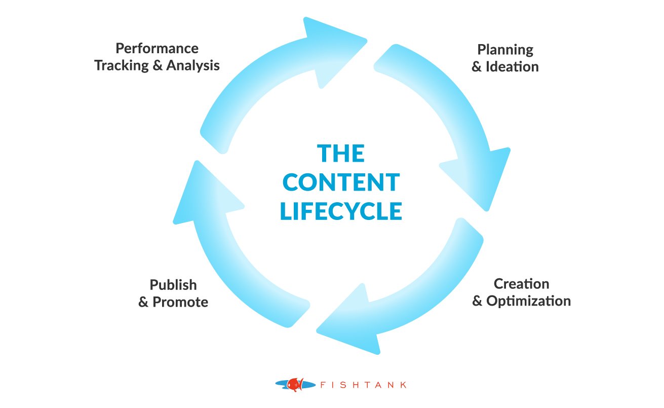 A diagram outlining Content Lifecycle Management