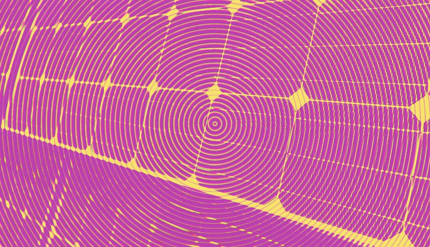 Blog Card Placeholder